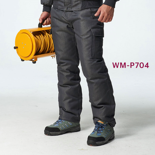 WM-P704-1.png